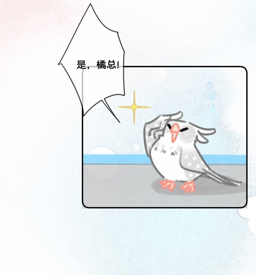 《喵铃铛》28 职场导师锅包又带出来的职场新猫！ 第8页