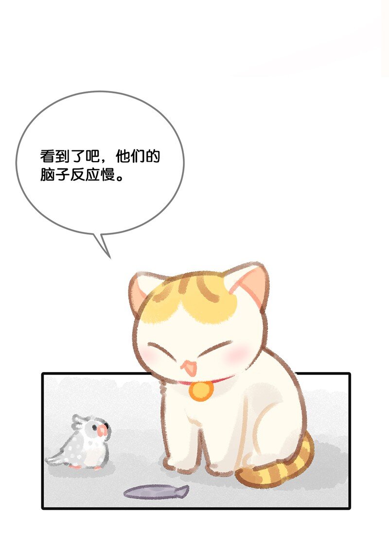 《喵铃铛》32 橘总对职场菜鸟的暖心鼓励 第11页