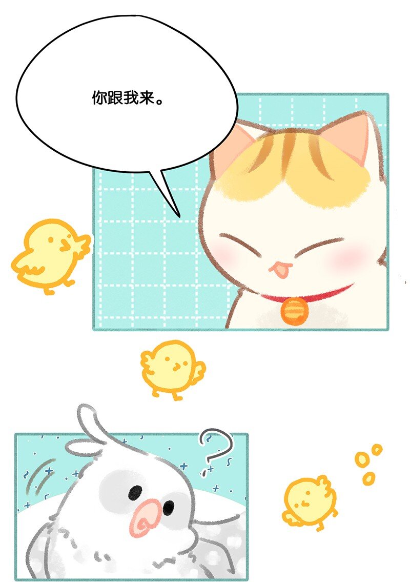 《喵铃铛》32 橘总对职场菜鸟的暖心鼓励 第20页