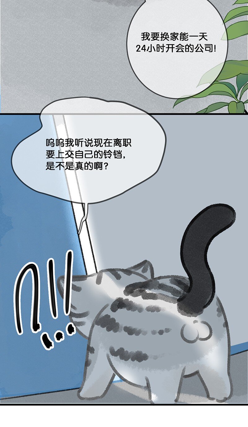 《喵铃铛》30 铃铛是高管的象征！ 第12页