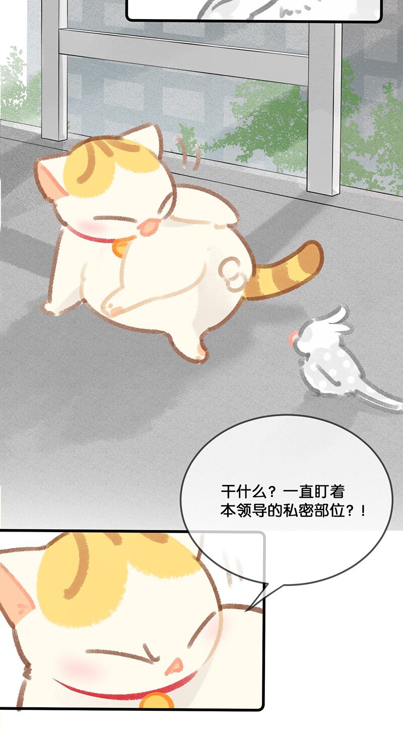 《喵铃铛》30 铃铛是高管的象征！ 第4页