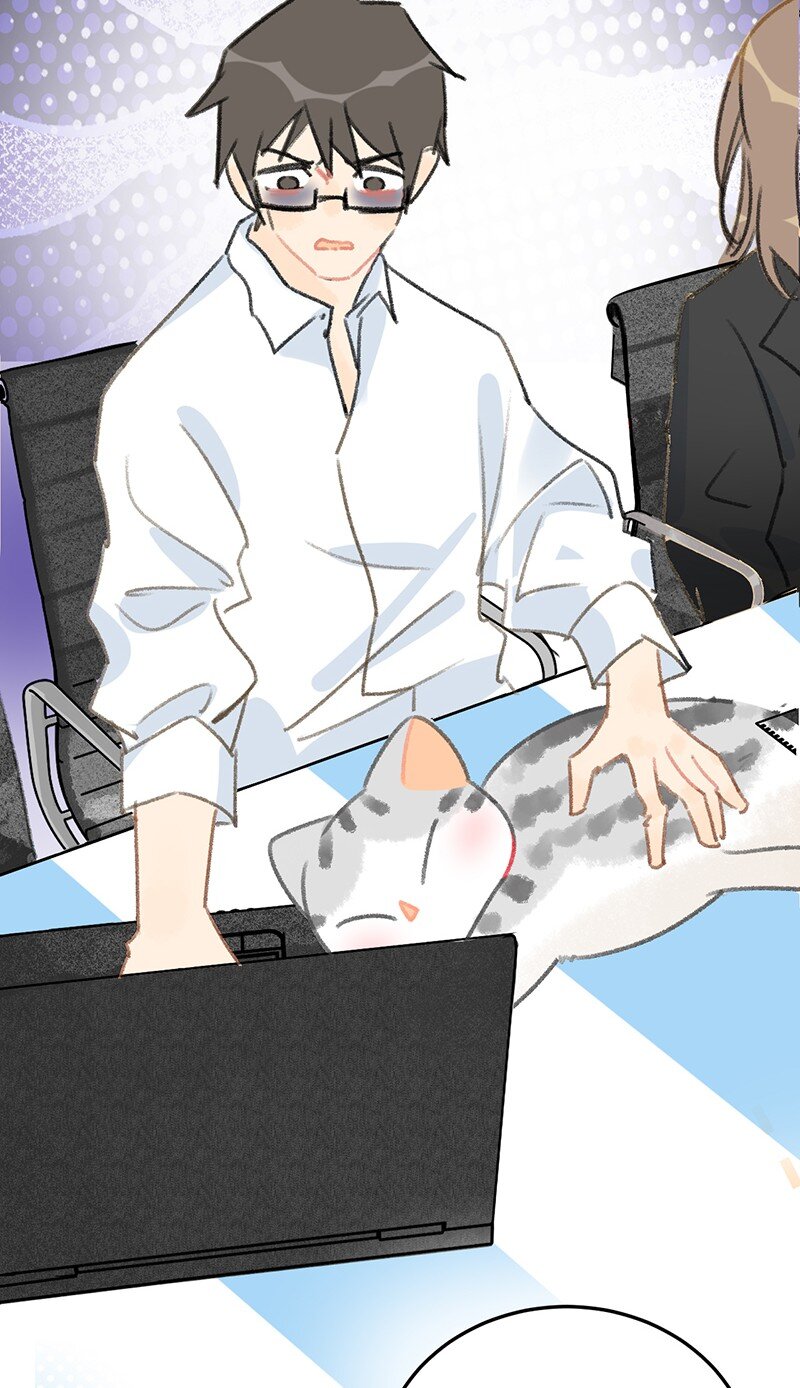 《喵铃铛》29 内卷之王王中王 第16页