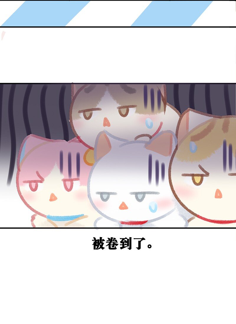 《喵铃铛》29 内卷之王王中王 第20页