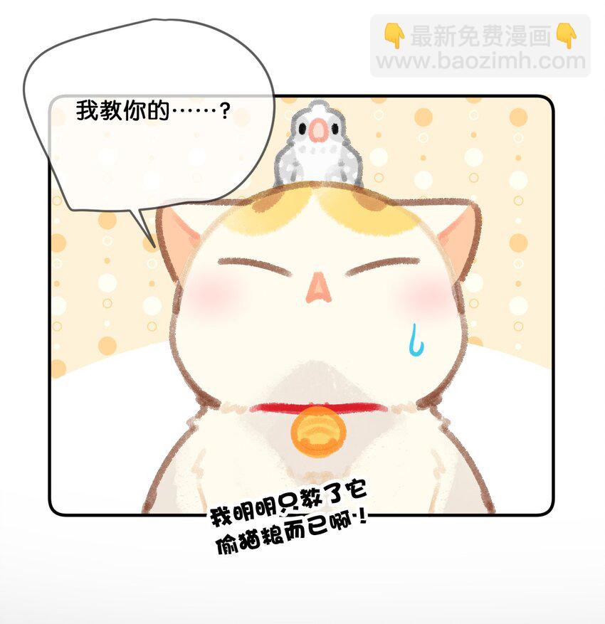 《喵铃铛》28 职场导师锅包又带出来的职场新猫！ 第16页