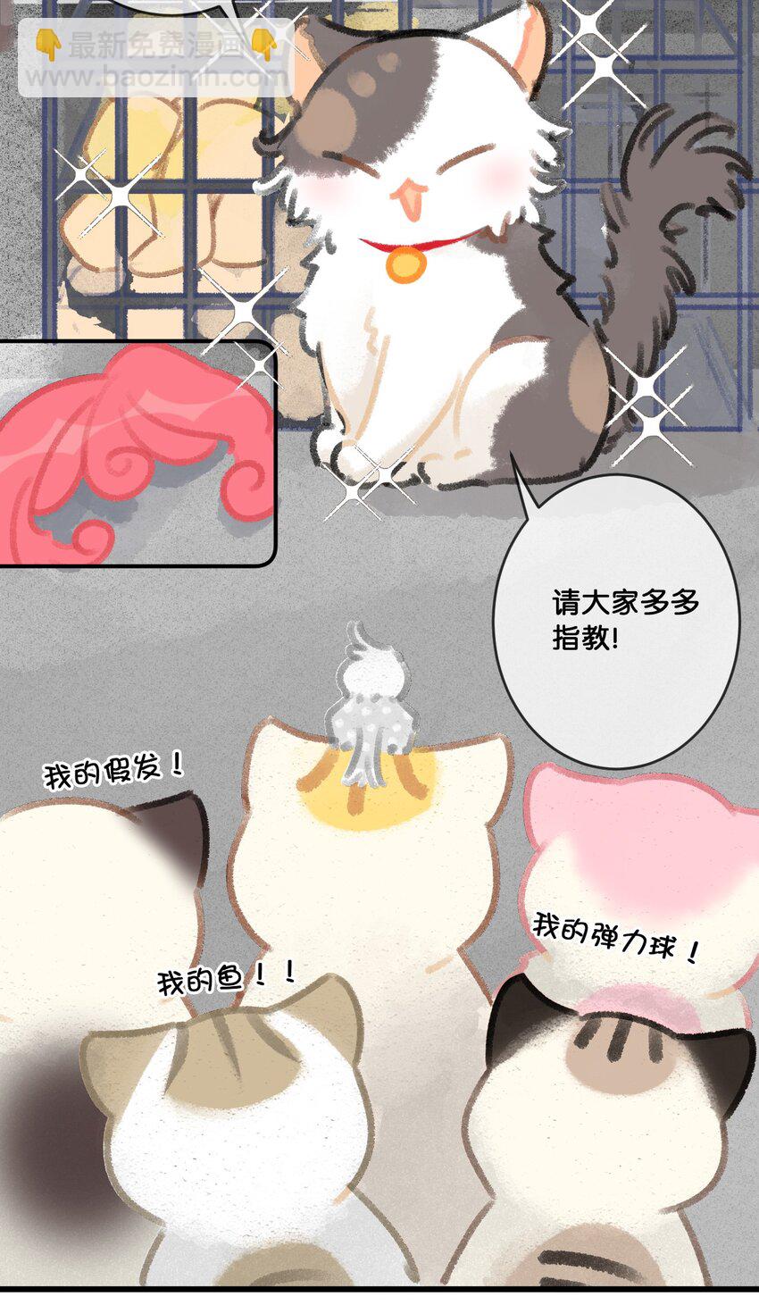 《喵铃铛》28 职场导师锅包又带出来的职场新猫！ 第18页