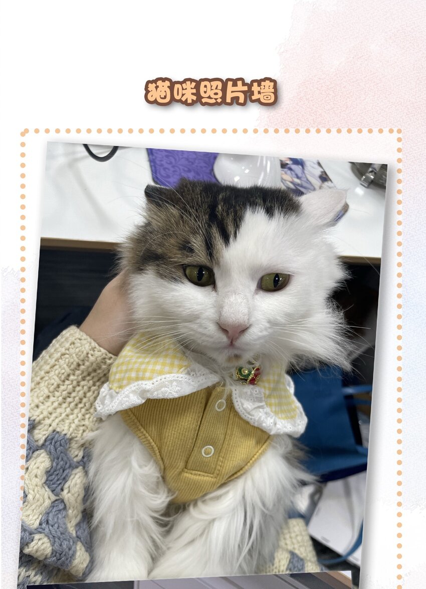 《喵铃铛》28 职场导师锅包又带出来的职场新猫！ 第23页