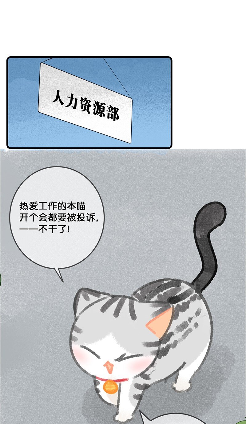 《喵铃铛》30 铃铛是高管的象征！ 第11页