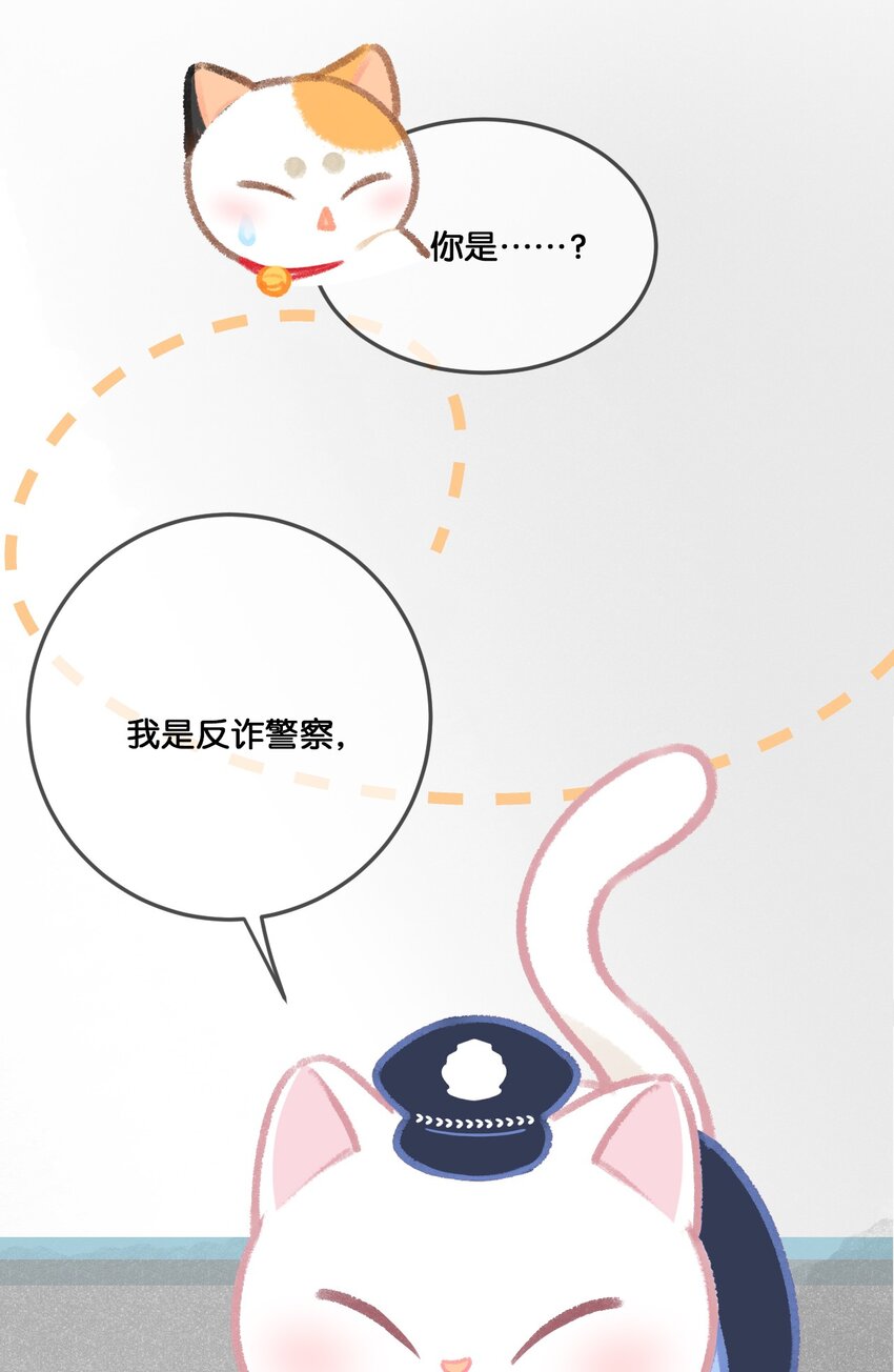 《喵铃铛》31 原价998，现在只要98？！ 第10页