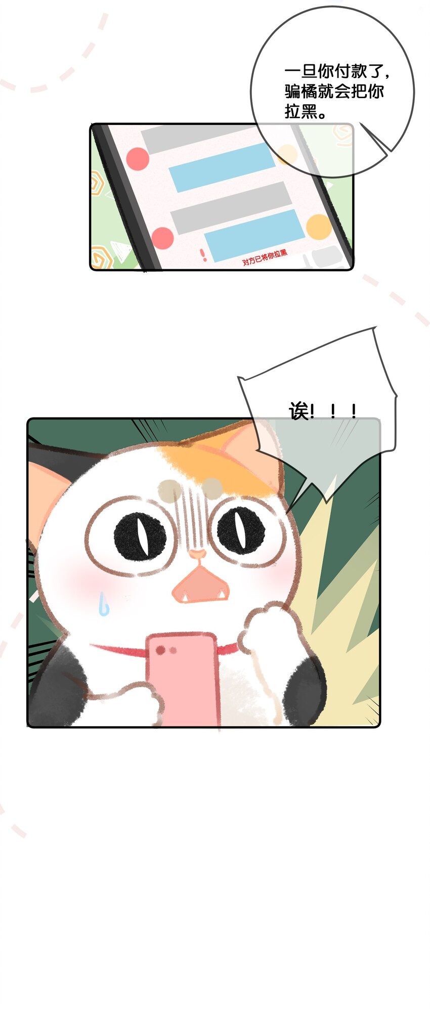 《喵铃铛》31 原价998，现在只要98？！ 第12页