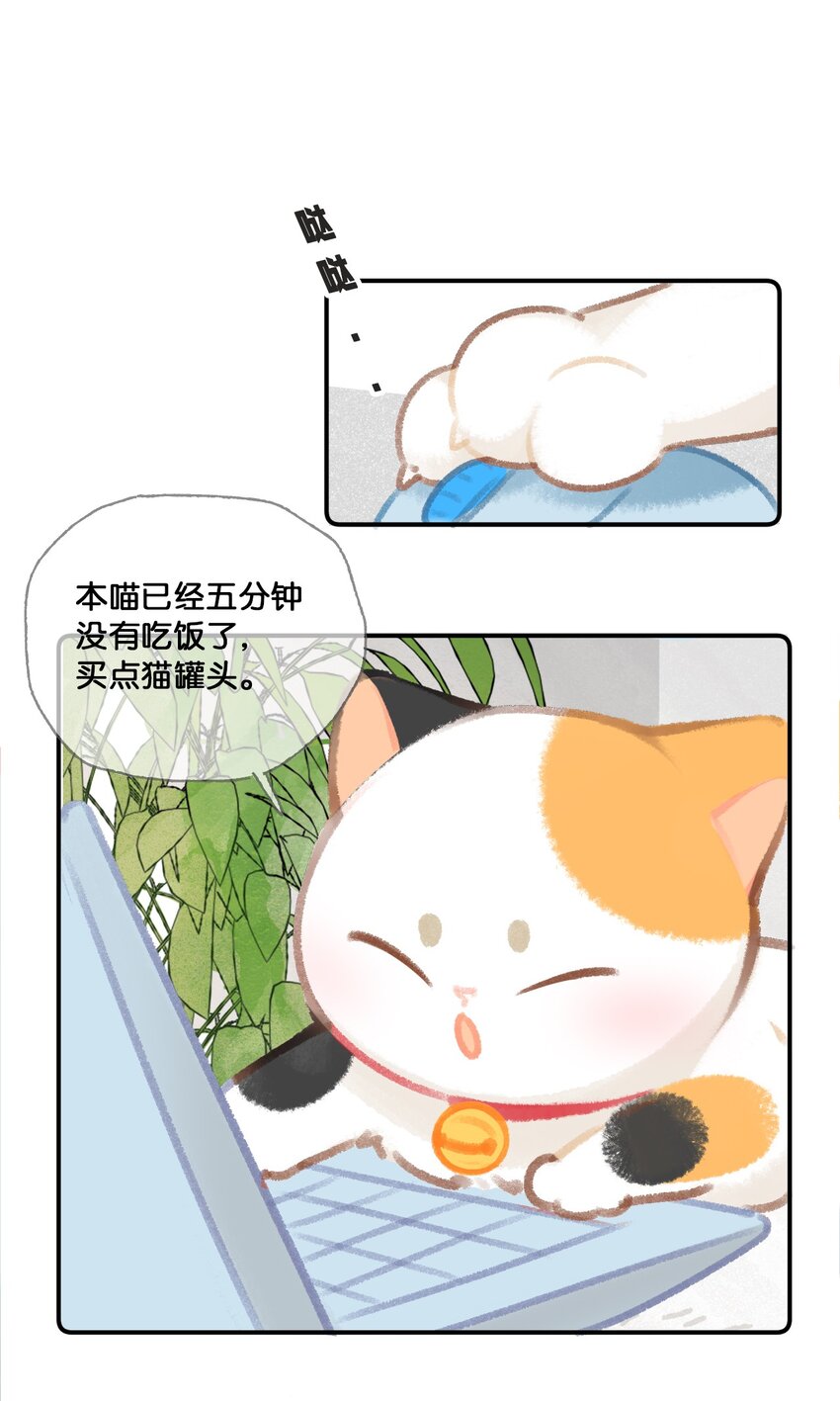 《喵铃铛》31 原价998，现在只要98？！ 第3页