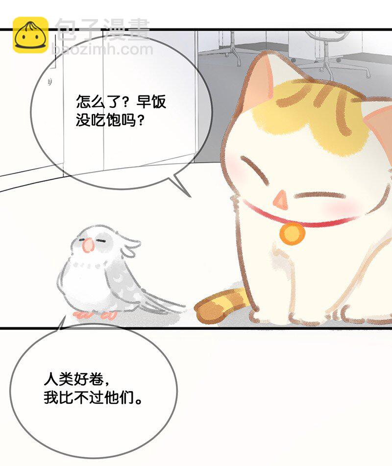 《喵铃铛》32 橘总对职场菜鸟的暖心鼓励 第4页
