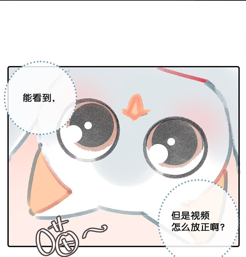 《喵铃铛》34 居家办公开会真难 第9页