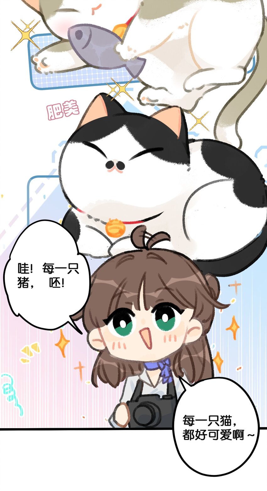 《喵铃铛》36 开工快乐！！ 第11页