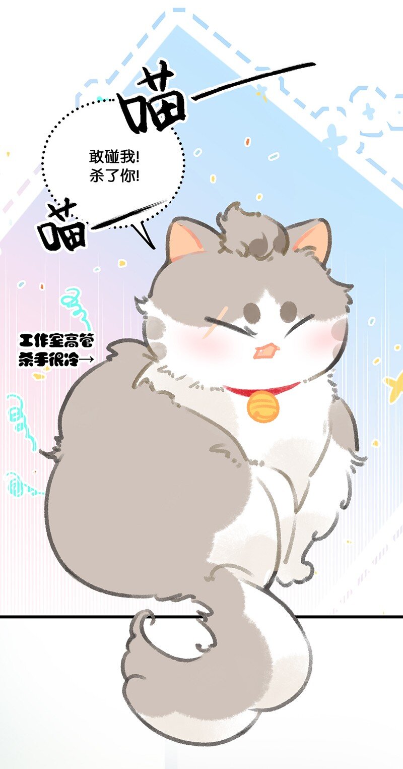 《喵铃铛》37 这个杀手——有点冷！ 第11页