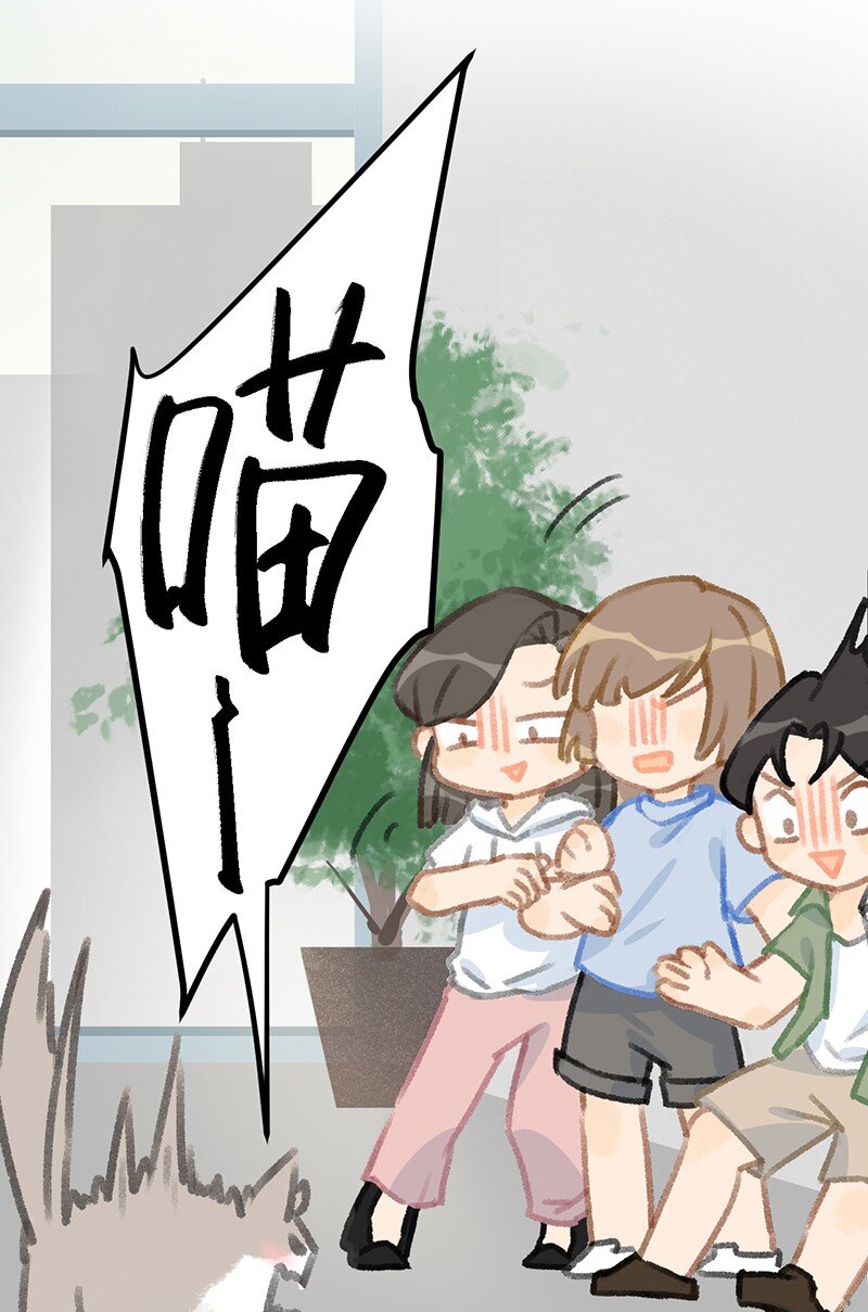 《喵铃铛》37 这个杀手——有点冷！ 第12页