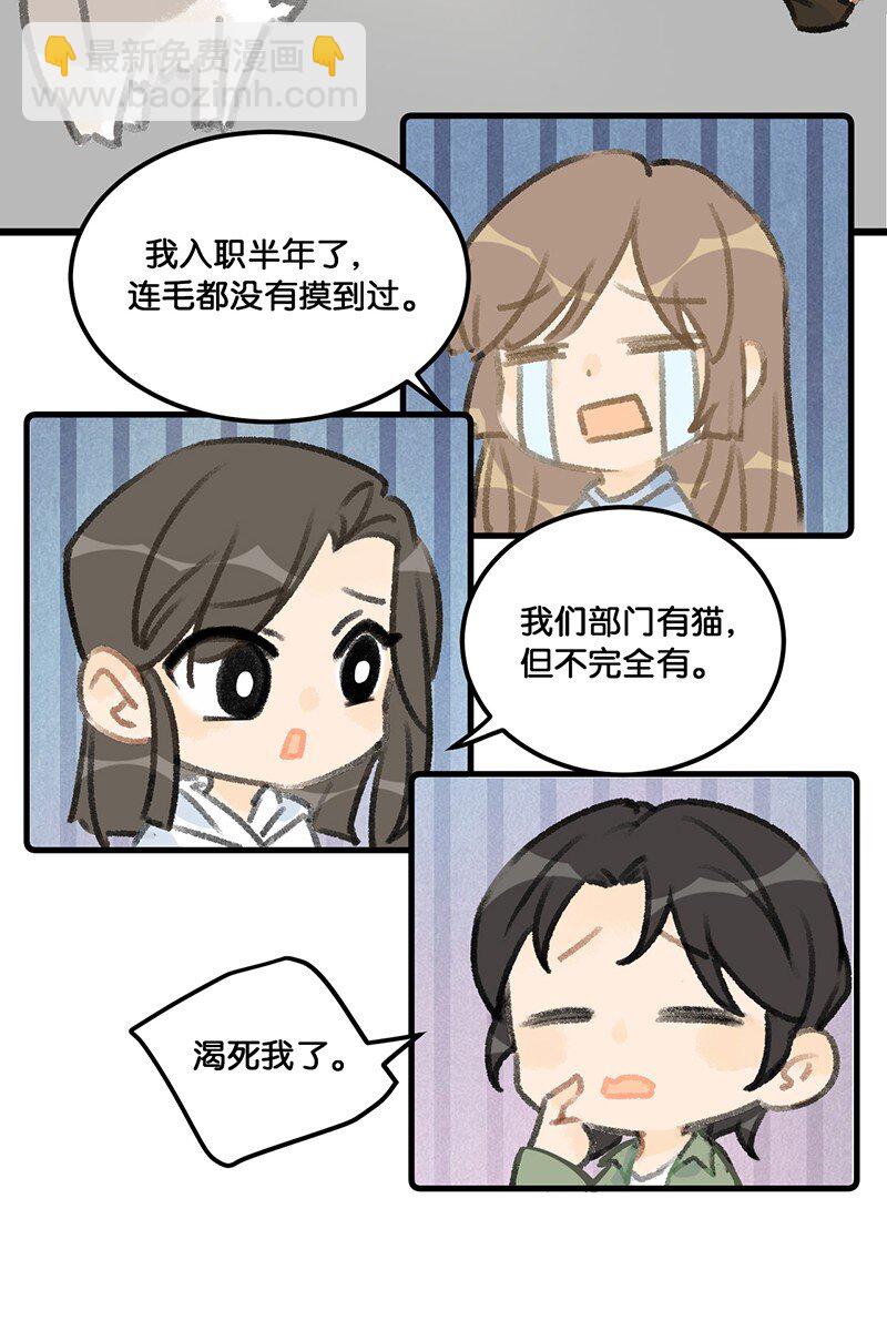 《喵铃铛》37 这个杀手——有点冷！ 第13页