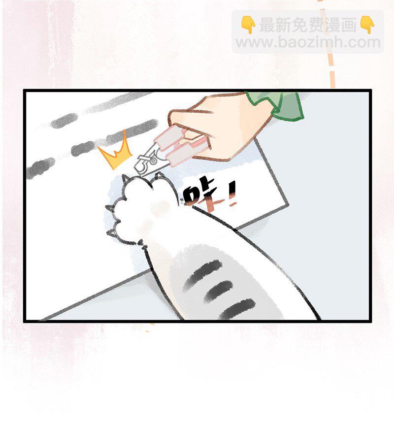 《喵铃铛》39 喵爪开花的办法！ 第14页