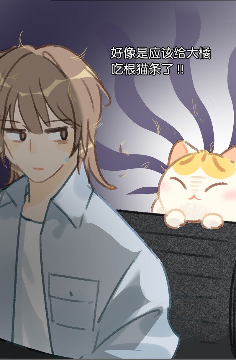 《喵铃铛》38 猫毛的多种用途？！ 第10页