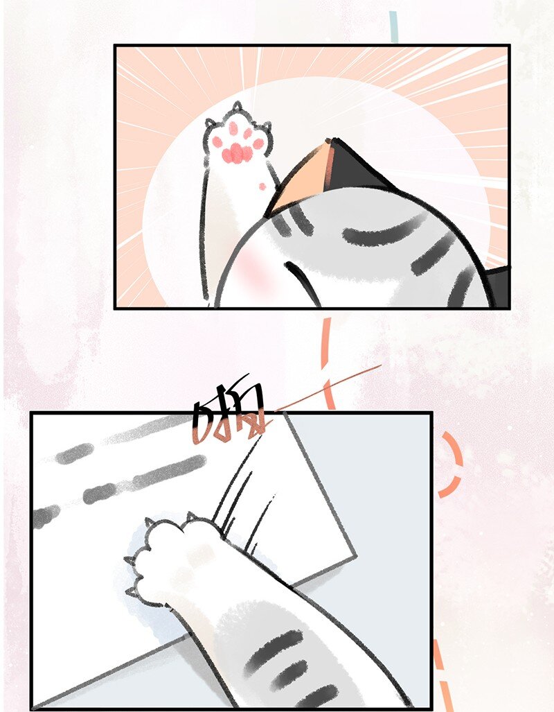 《喵铃铛》39 喵爪开花的办法！ 第13页
