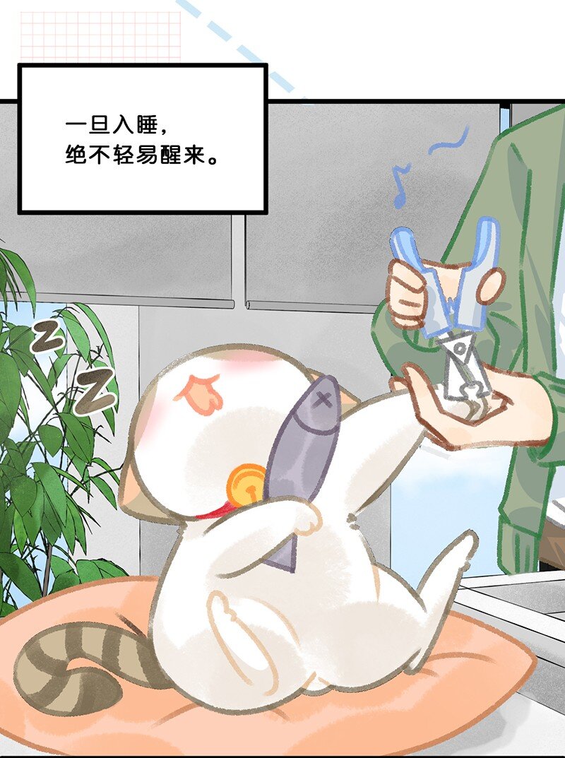 《喵铃铛》39 喵爪开花的办法！ 第16页