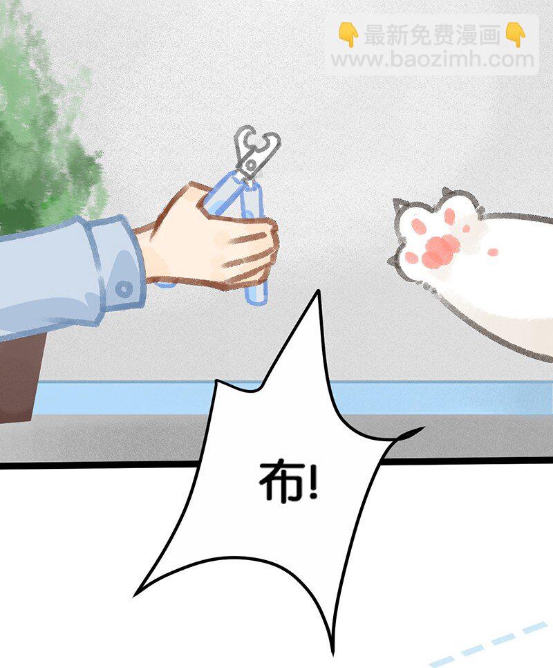 《喵铃铛》39 喵爪开花的办法！ 第19页