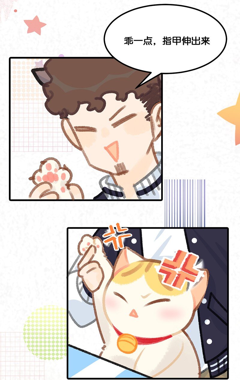 《喵铃铛》39 喵爪开花的办法！ 第7页
