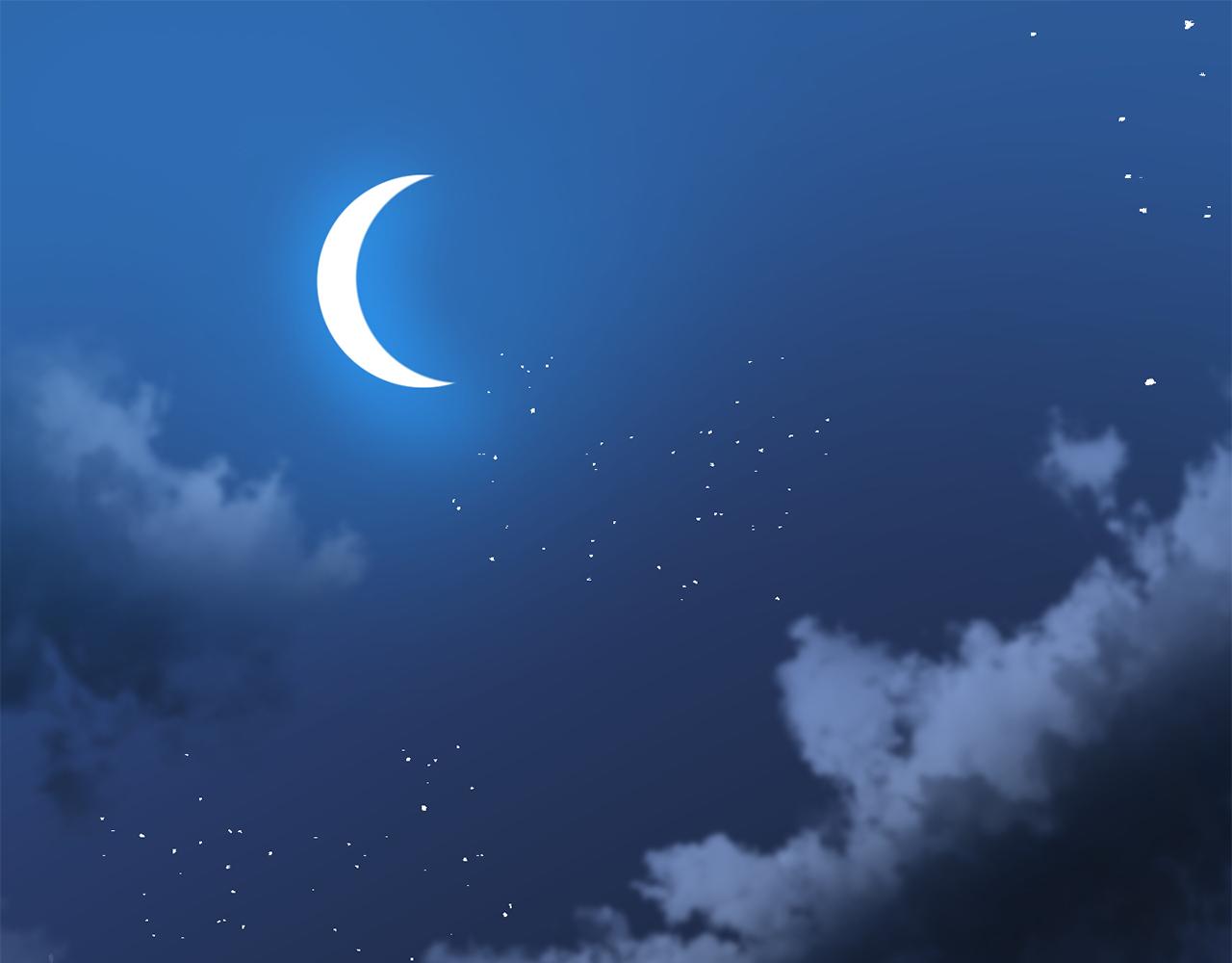 《今夜驯服狼公爵》第47话 表明心迹 第5页