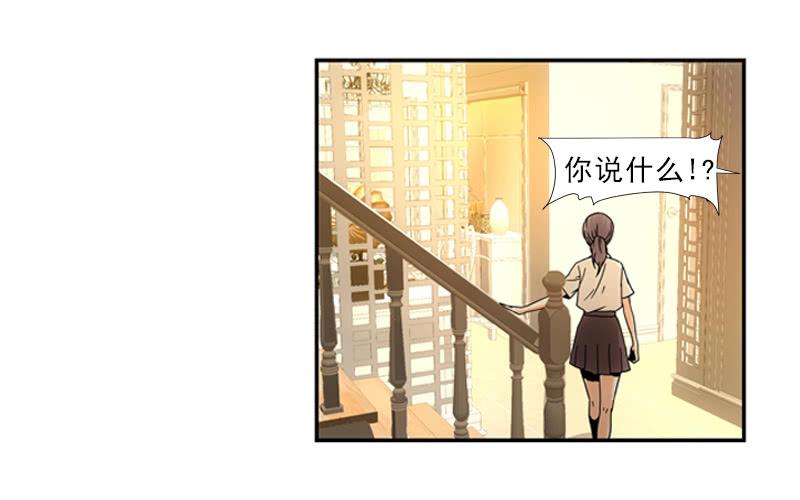《她比前妻更撩人》汇报！ 第2页