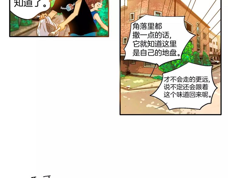 《潜水日志》第19话 第50页