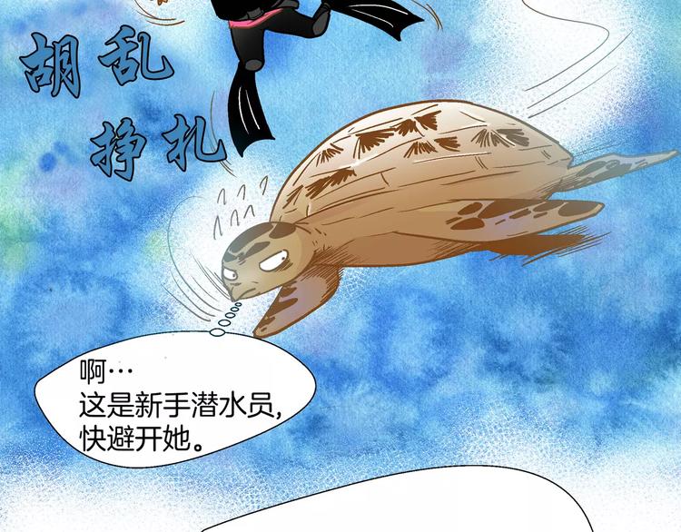 《潜水日志》第54话 番外 第13页