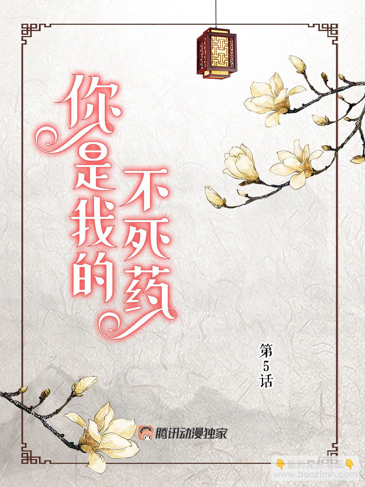 《你是我的不死药》5.还魂石 第2页
