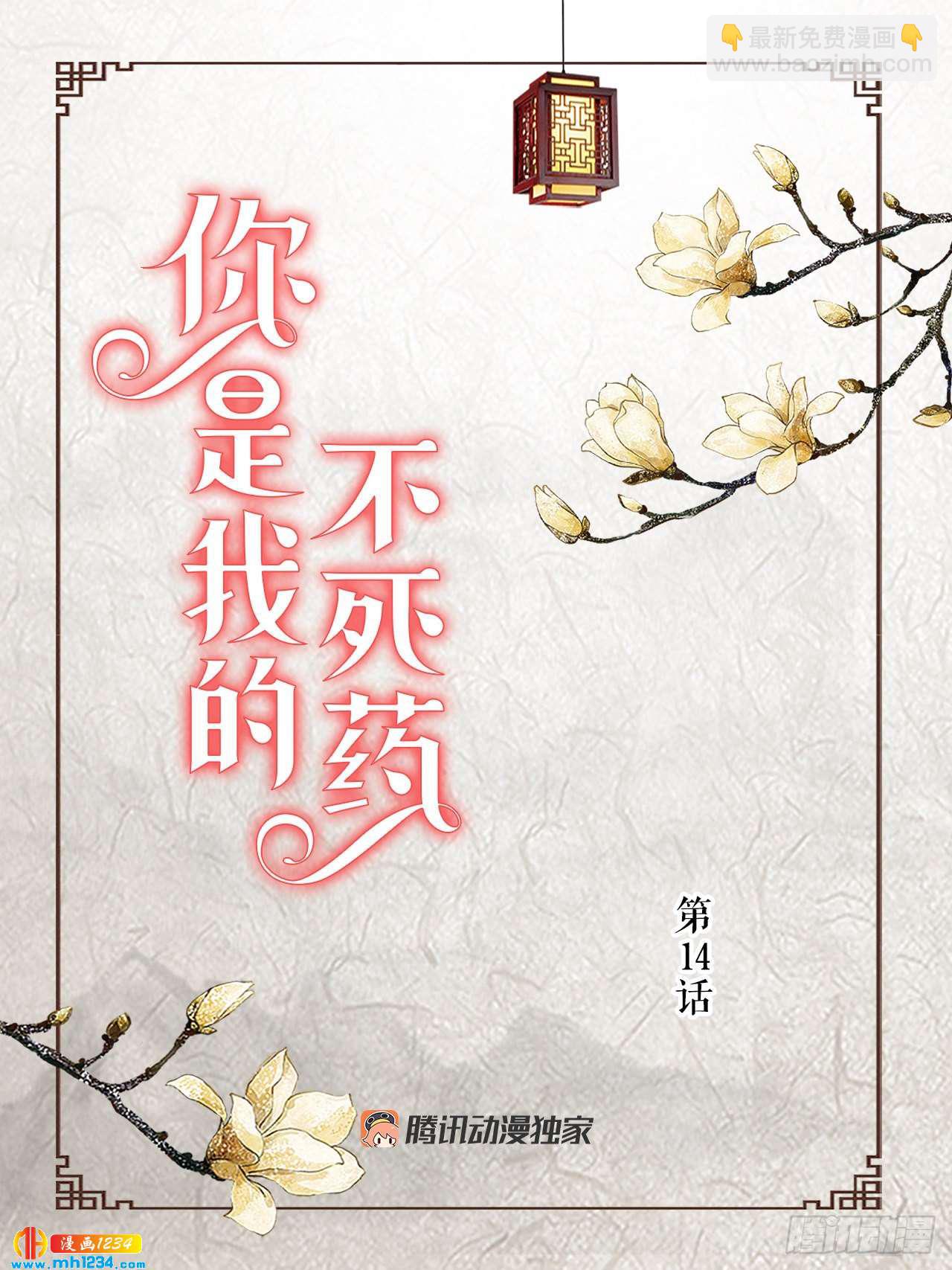 《你是我的不死药》14.丹儿 第2页