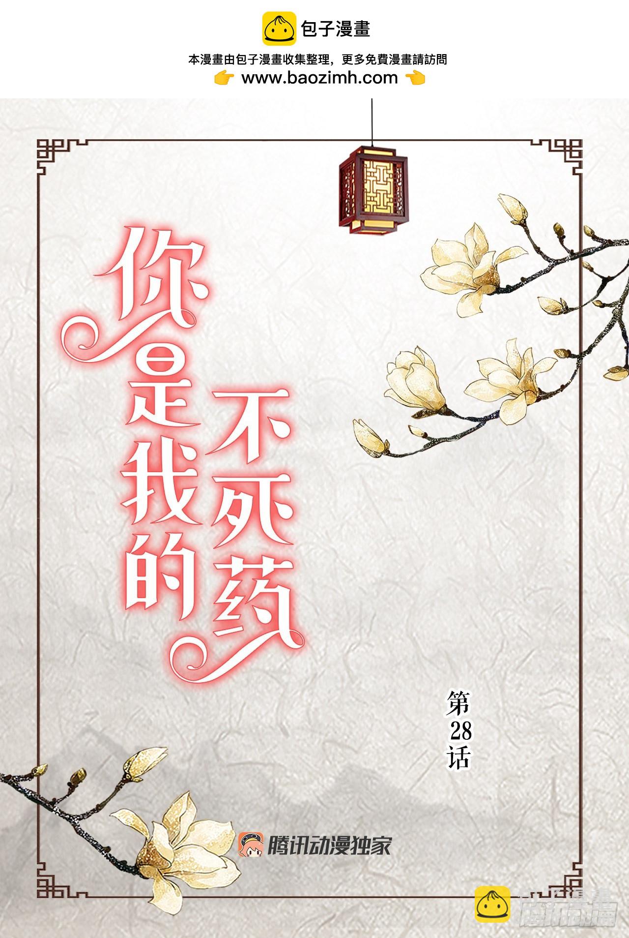 《你是我的不死药》28.瑾华 第2页