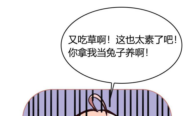 《全天候贴身男神》第4话 你拿我当兔子养啊 第22页