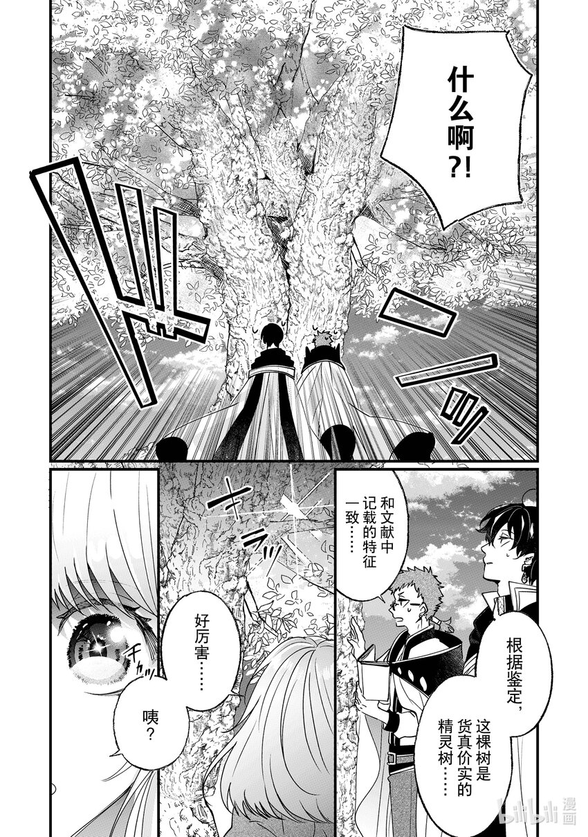 《我不会再回这个家了!》4 精灵树的种子 第12页