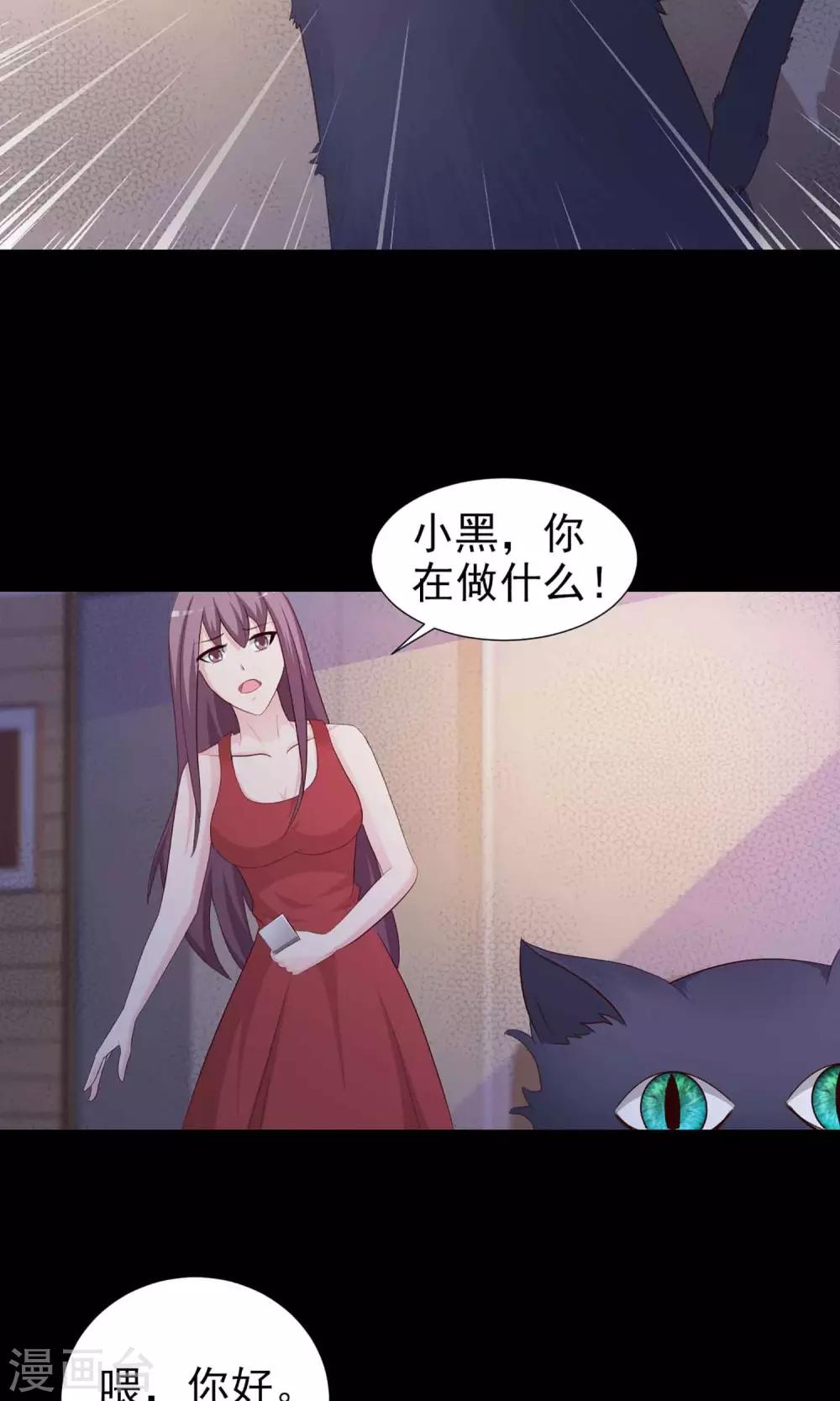 《脑洞密码》第5话 黑猫怪谈2 第37页
