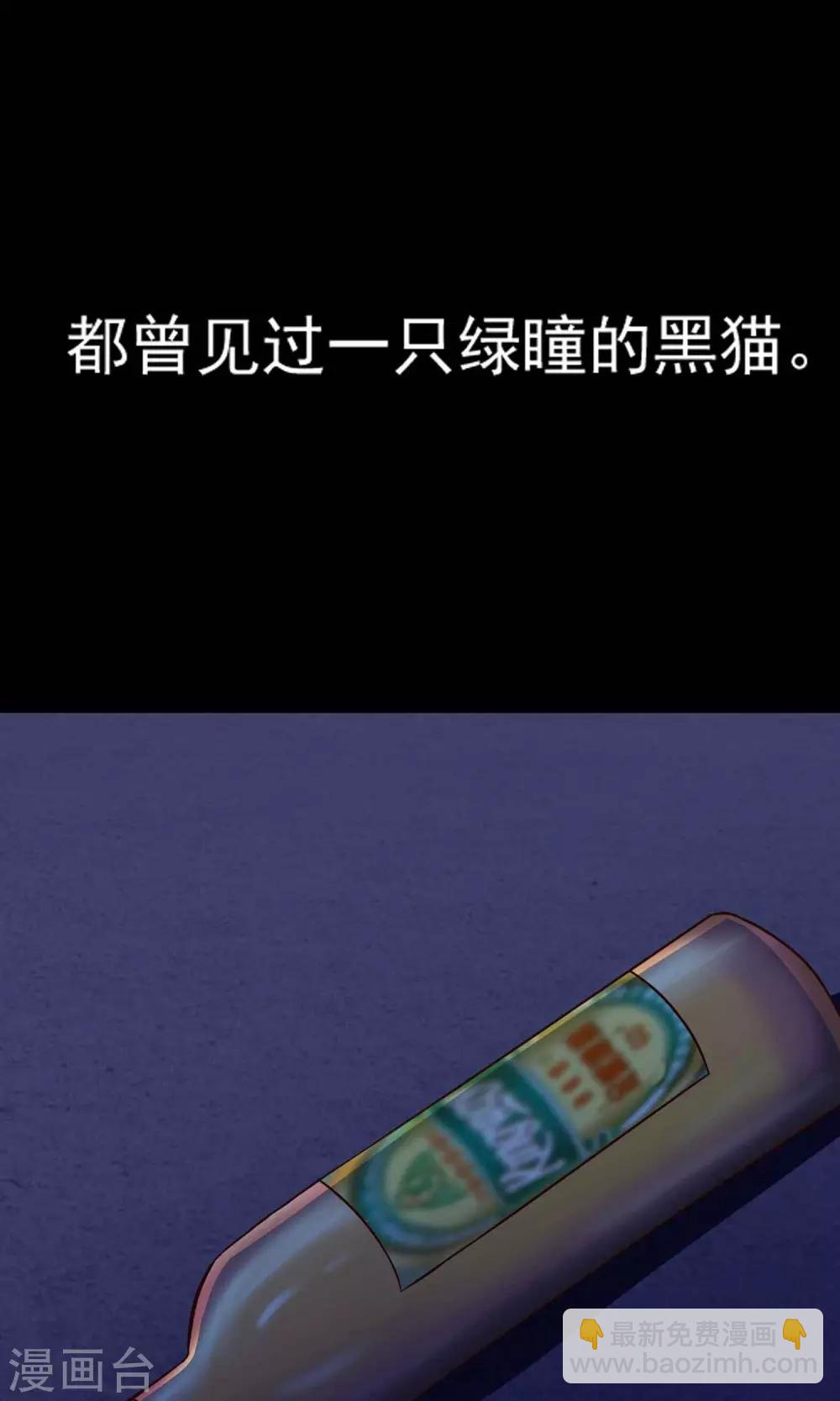 《脑洞密码》第4话 黑猫怪谈1 第5页