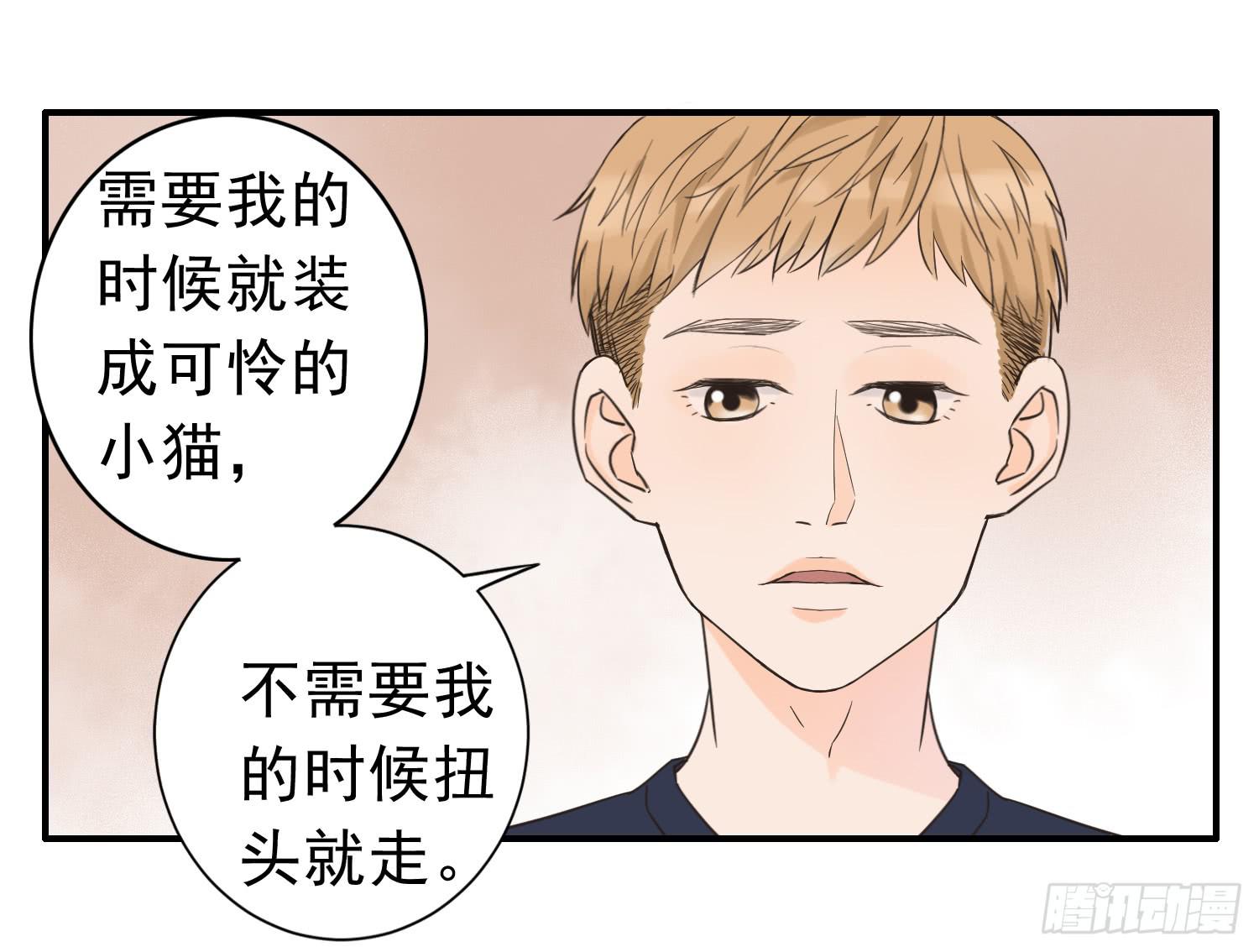《何处安放》我是她替代品吗？ 第12页