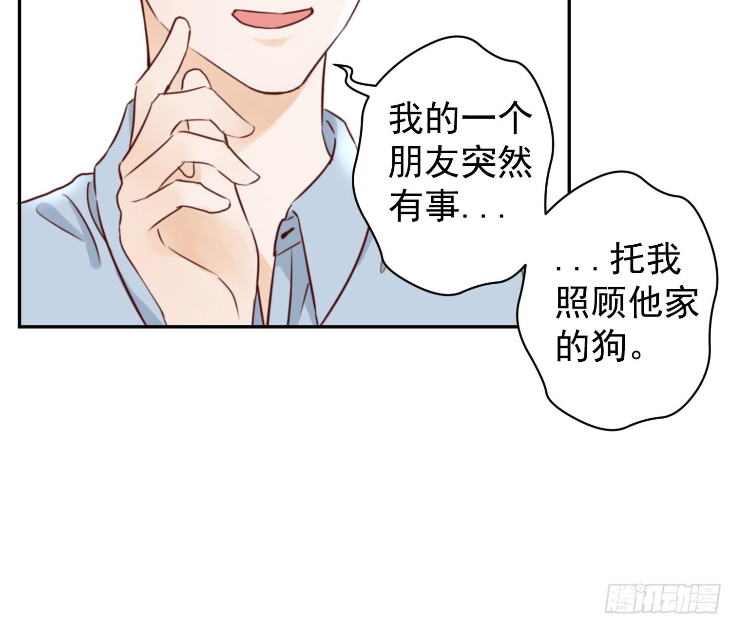 《何处安放》我还不如狗受欢迎 第15页