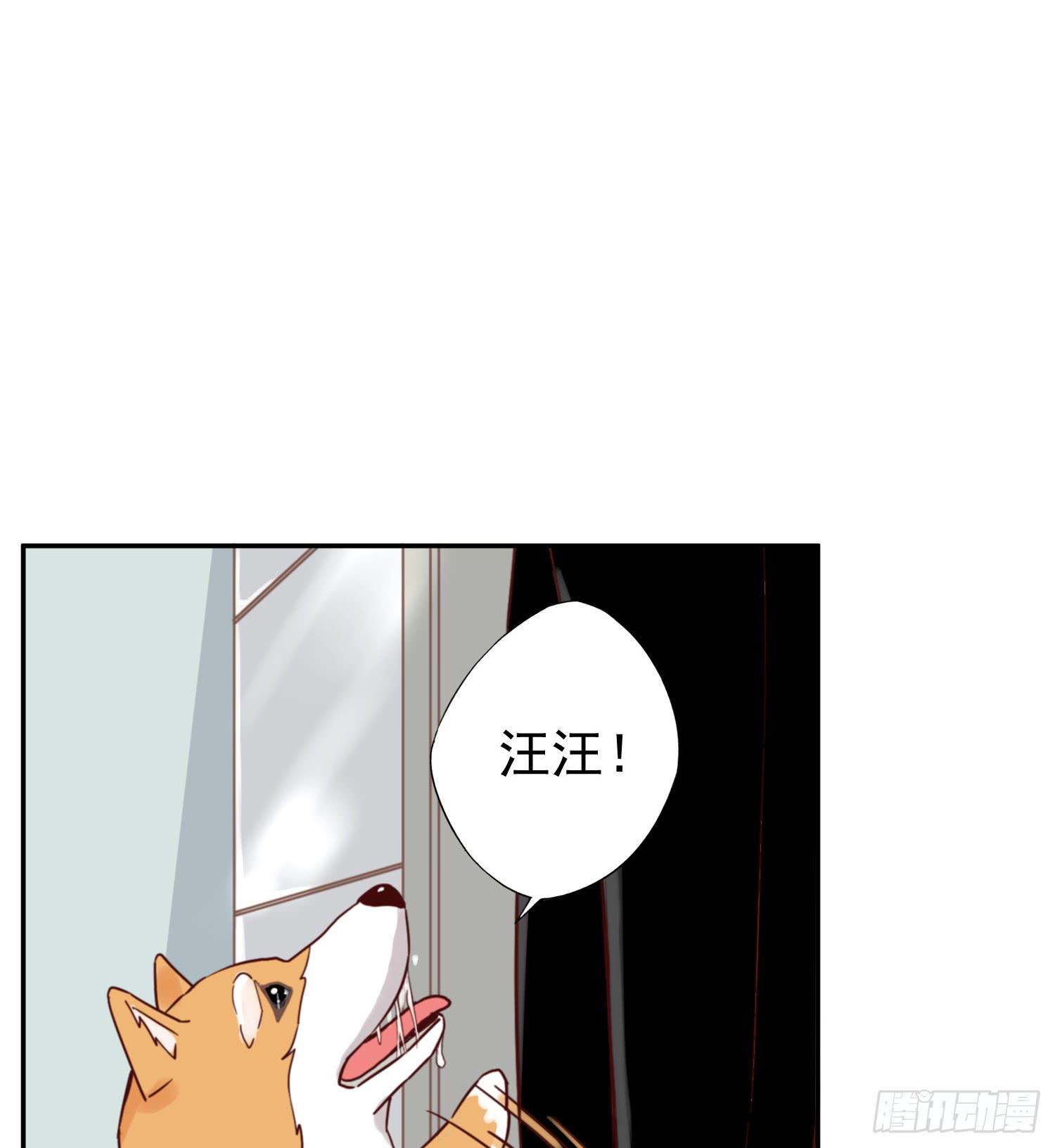 《何处安放》你对大叔一见钟情吗？ 第8页