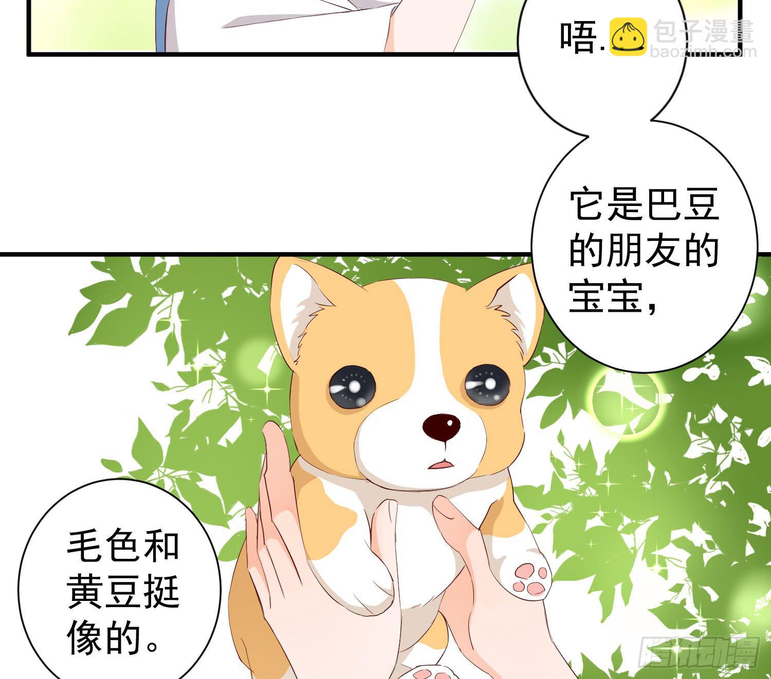 《何处安放》治愈 第13页