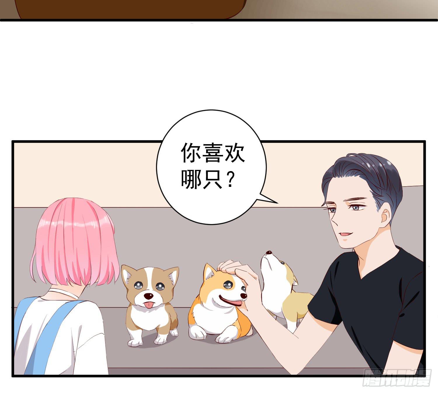 《何处安放》治愈 第4页