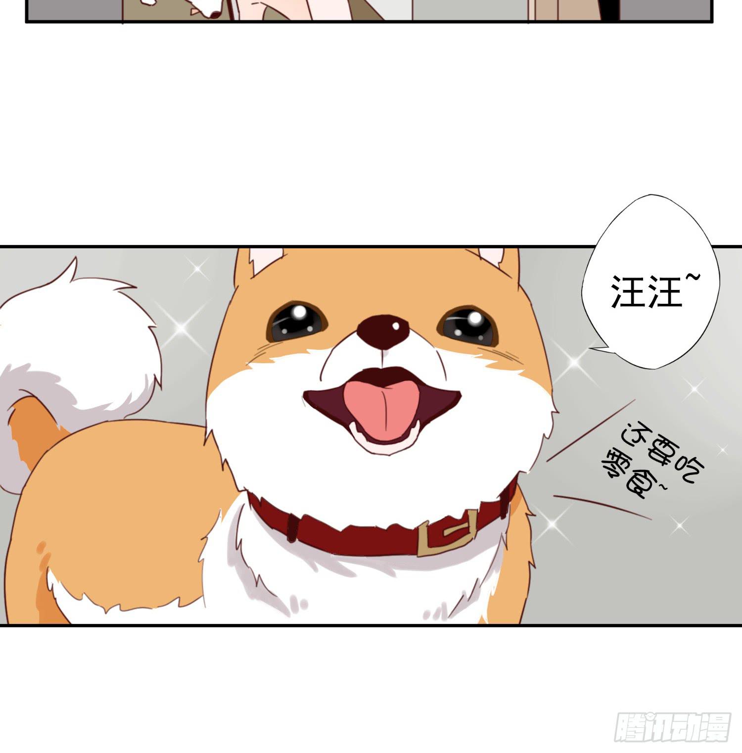 《何处安放》我该告诉她实情吗？ 第23页