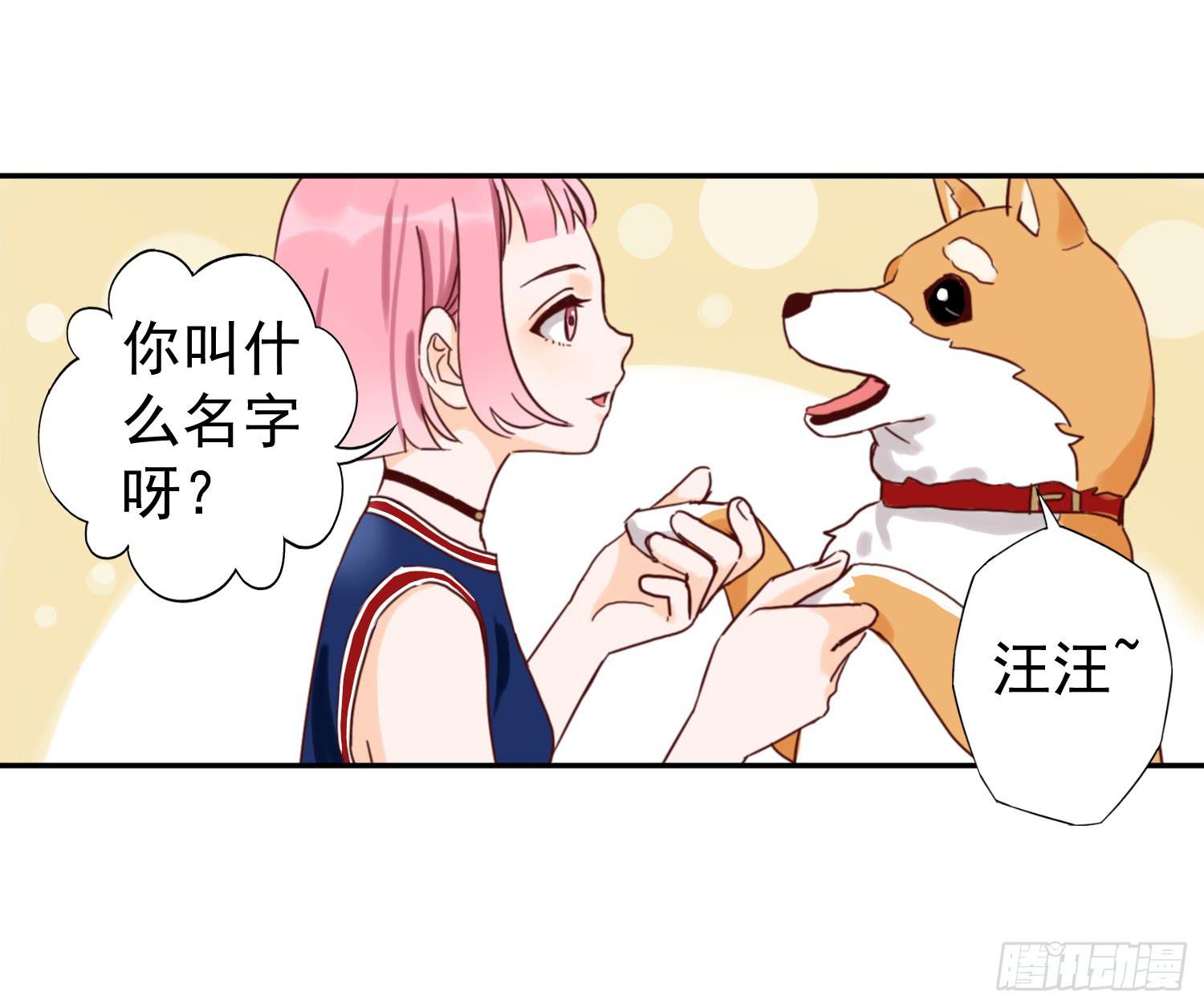 《何处安放》我该告诉她实情吗？ 第2页