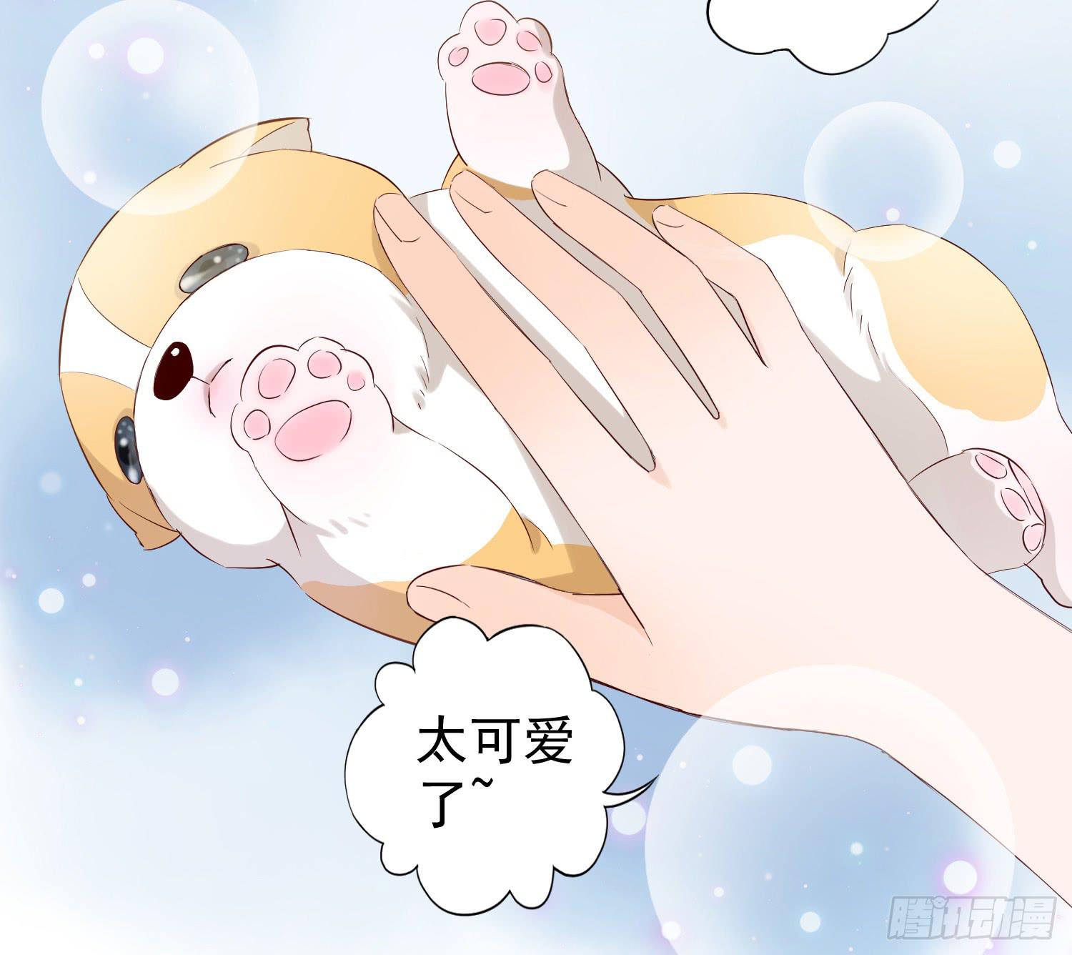 《何处安放》可以让我见她吗？ 第22页