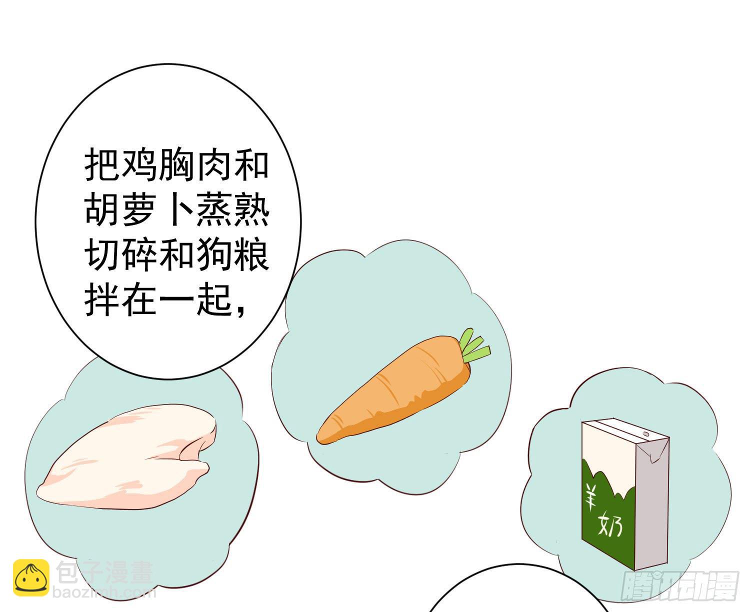 《何处安放》治愈 第22页