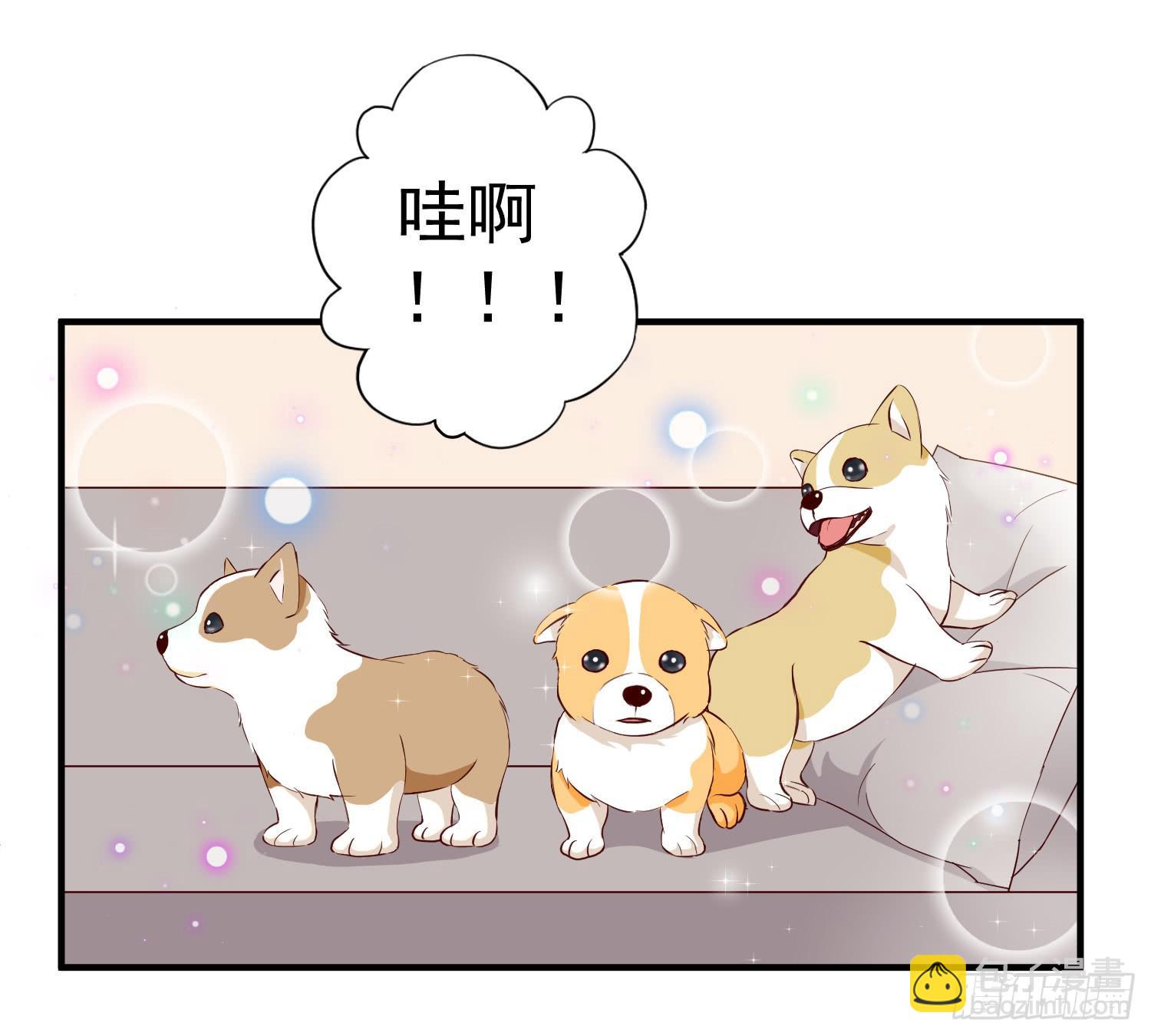《何处安放》治愈 第2页