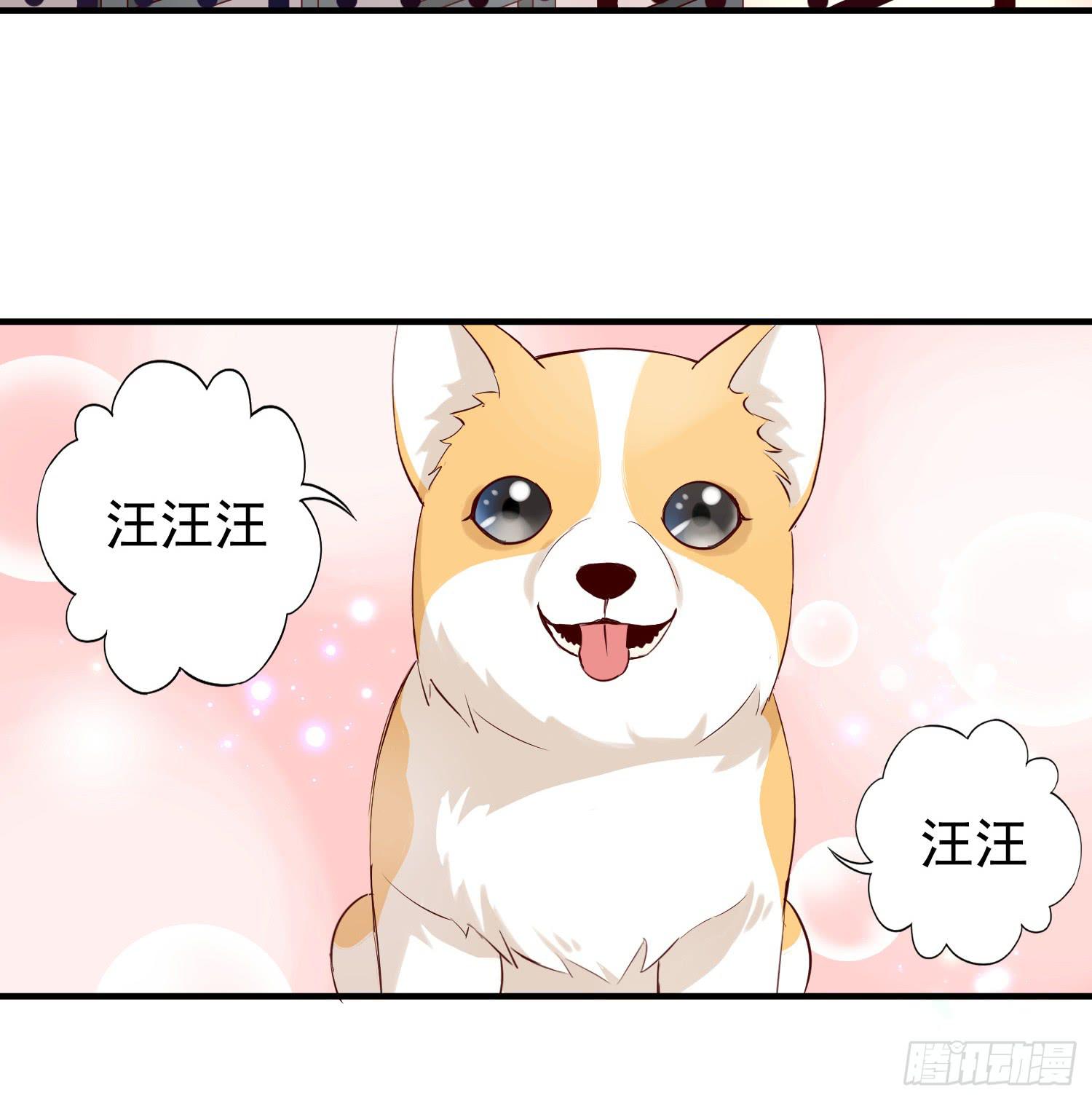 《何处安放》你真好 第4页