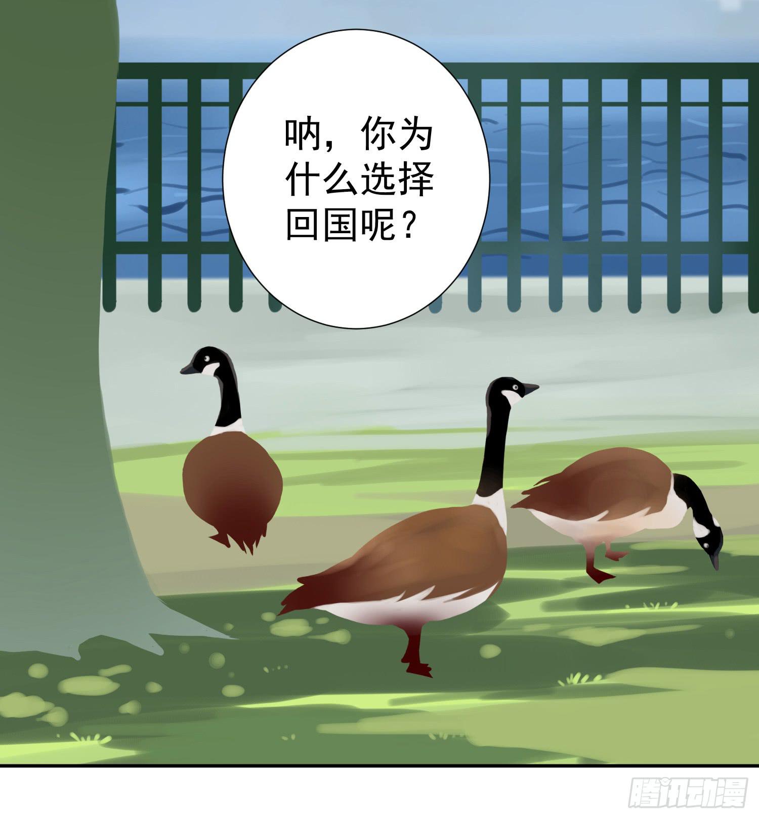 《何处安放》你们为什么分手？ 第19页