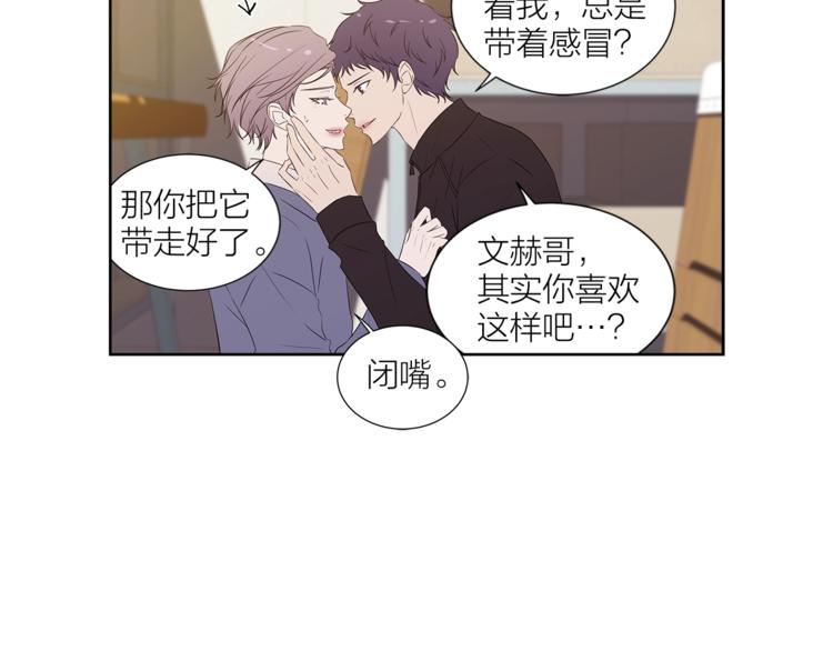 《即兴爵士》番外 变成喵了？ 第10页